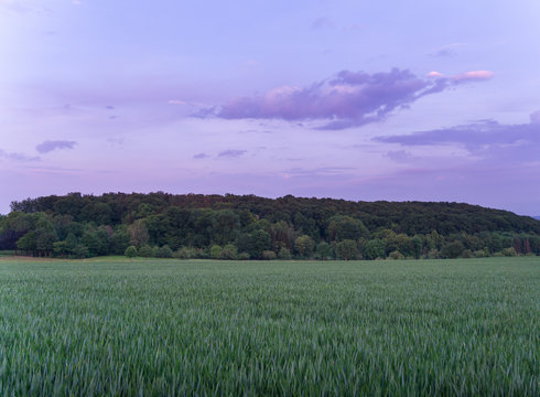 Germany, Colorful forest behind green fields at dawning