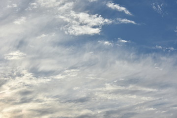 Naklejka premium The evening sky