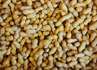 Peanuts in the peel