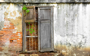 Fototapeta na wymiar old damaged wood window at antique brick building home in asia, thailand