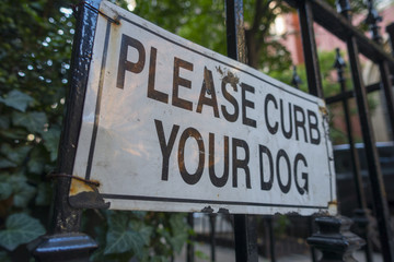 sidewalk urban street sign curb dog