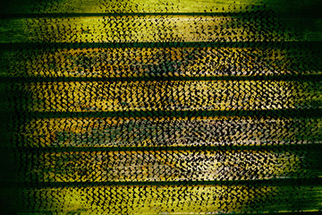 Grunge Wooden bench plank texture for web site or mobile devices, design element