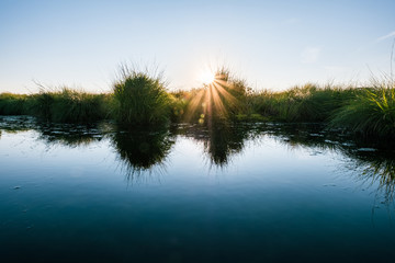 Sonnenaufgang im Moor Hohes Venn