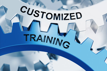 CUSTOMIZED TRAINING on Metal Cog Gears.