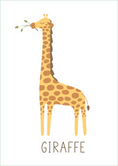 Cute giraffe with tree branch on white background. Vector illustration.
