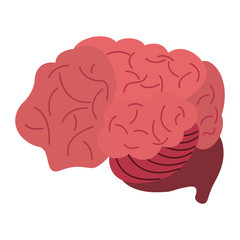 Human brain cartoon vector illustration graphic design