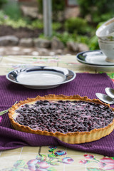 Homemade blueberry cake. Blueberry tart with cream cheese. Outdoor breakfast. Summer teatime. Vintage cups and plates on old-fashioned table cloth. Nature background. Cup of tea with berry pie.
