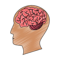 Obraz premium Human brain on head silhouette vector illustration graphic design