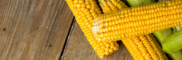 Ripe yellow sweet corn cob on a wooden table close-up, border design panoramic banner 
