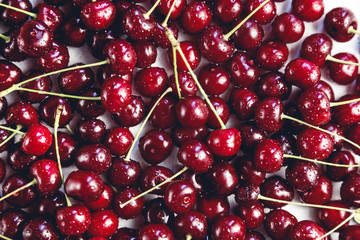 Close up of pile of ripe cherries with stalks
