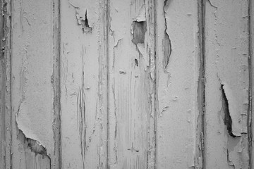 Old wood plank with texture