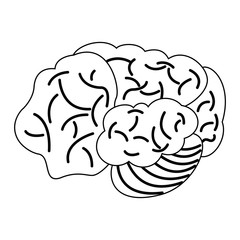 Human brain cartoon vector illustration graphic design