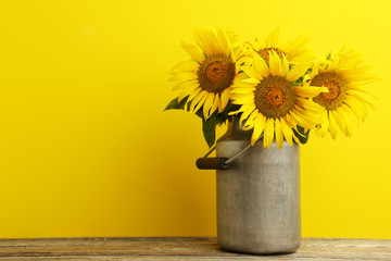 Sunflowers in aluminium can on yellow background