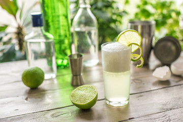 Egg Gin Fizz Cocktail