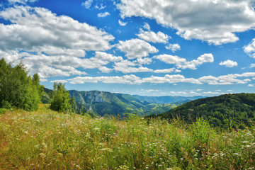Fototapeta na wymiar Landscape from Transylvania - Dumesti, Romania