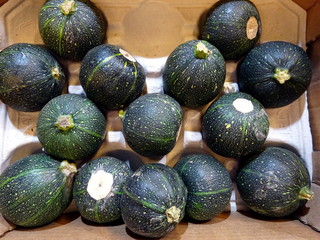 Round green squash