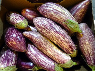 Striped eggplants in a box