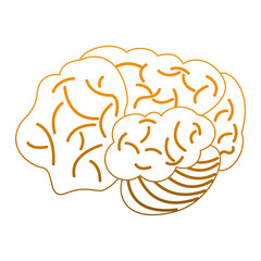 Human brain cartoon vector illustration graphic design