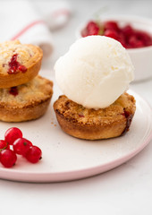 Ice-cream and biscuits with red currant on white background. 