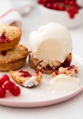 Ice-cream and biscuits with red currant on white background. 