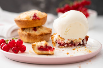 Ice-cream and biscuits with red currant on white background. 