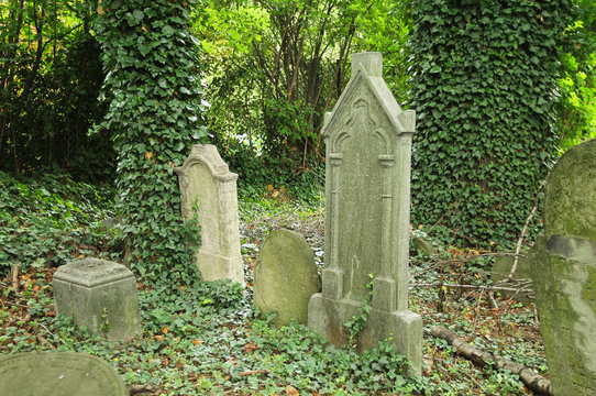 some headstones on the old jewish cemetery in Cieszyn, Poland
