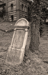 headstone near the tree covered with ivy and ruin of a building behind it on the old jewish cemetery in Cieszyn, Poland