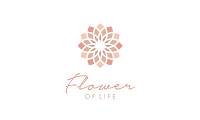Fototapeta na wymiar Flower of Life Floral Lotus Star Pattern Logo design inspiration