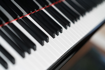 Piano Musical Instrument