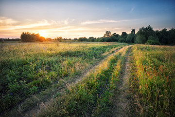 Country road in field with dense grass at sunset