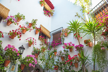 Patio full of flowers in Cordoba, Spain in summer