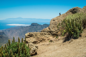 Gran Canaria, Canary islands, roque nublo, mountain, globetrotter, hiking