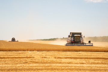 Obraz premium Harvesting of wheat. Combine harvesters at work