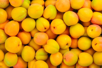 Ripe juicy orange apricots fruit background.