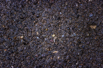 Wet asphalt close-up