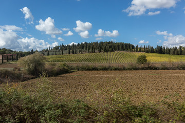 Fototapeta na wymiar Typical landscape Toscane in Italy