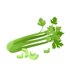 Bright vector collection of colorful celery isolated on white - obrazy, fototapety, plakaty