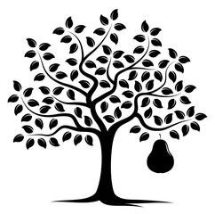 pear tree