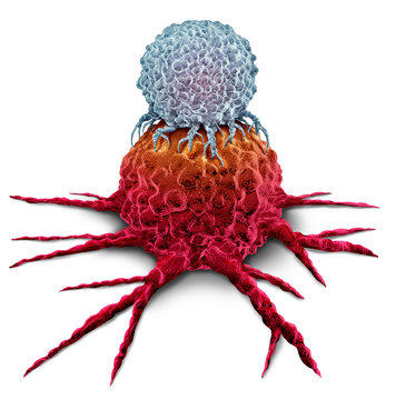 T Cell Attacking Cancer Tumor