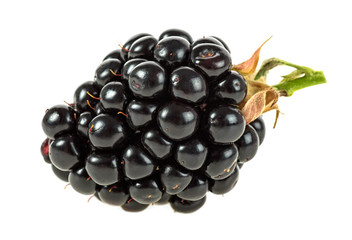 Ripe blackberry isolated on a white background