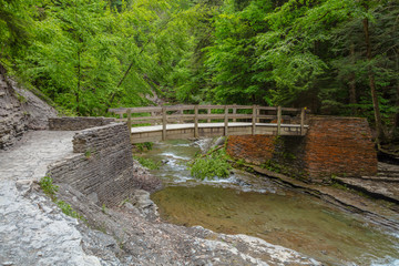 Wooden Bridge over Stream with Tree Fallen in Water - Rock Path
