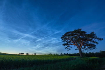 Nights in Estonia in June