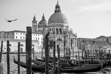 Fototapeten Gondeln und die Kirche Santa Maria della Salute in Venedig © Roman Sigaev
