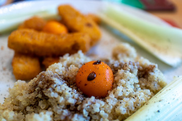 Tomato, Quinoa, Fish Fingers and Celery Closeup