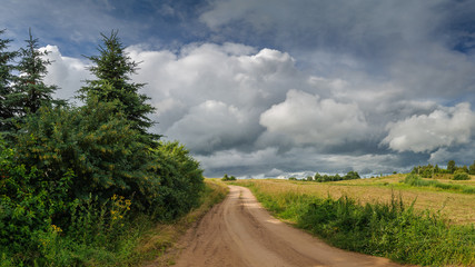 Fototapeta na wymiar summer rural landscape. unpaved field road in cloudy weather before rain