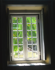 Window to Garden