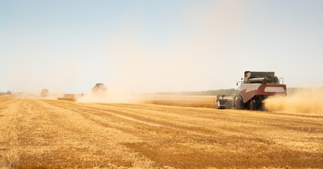 Obraz premium Harvesting of wheat. Combine harvesters at work