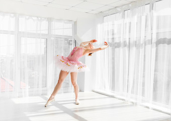 Elegant female ballet dancer in pink tutu practicing and smiling