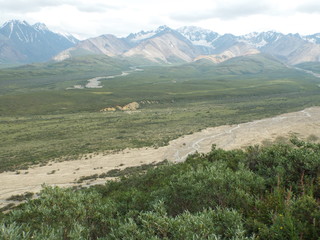 Naklejka premium Denali