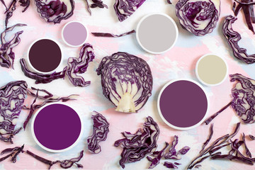 Red cabbage and color samples